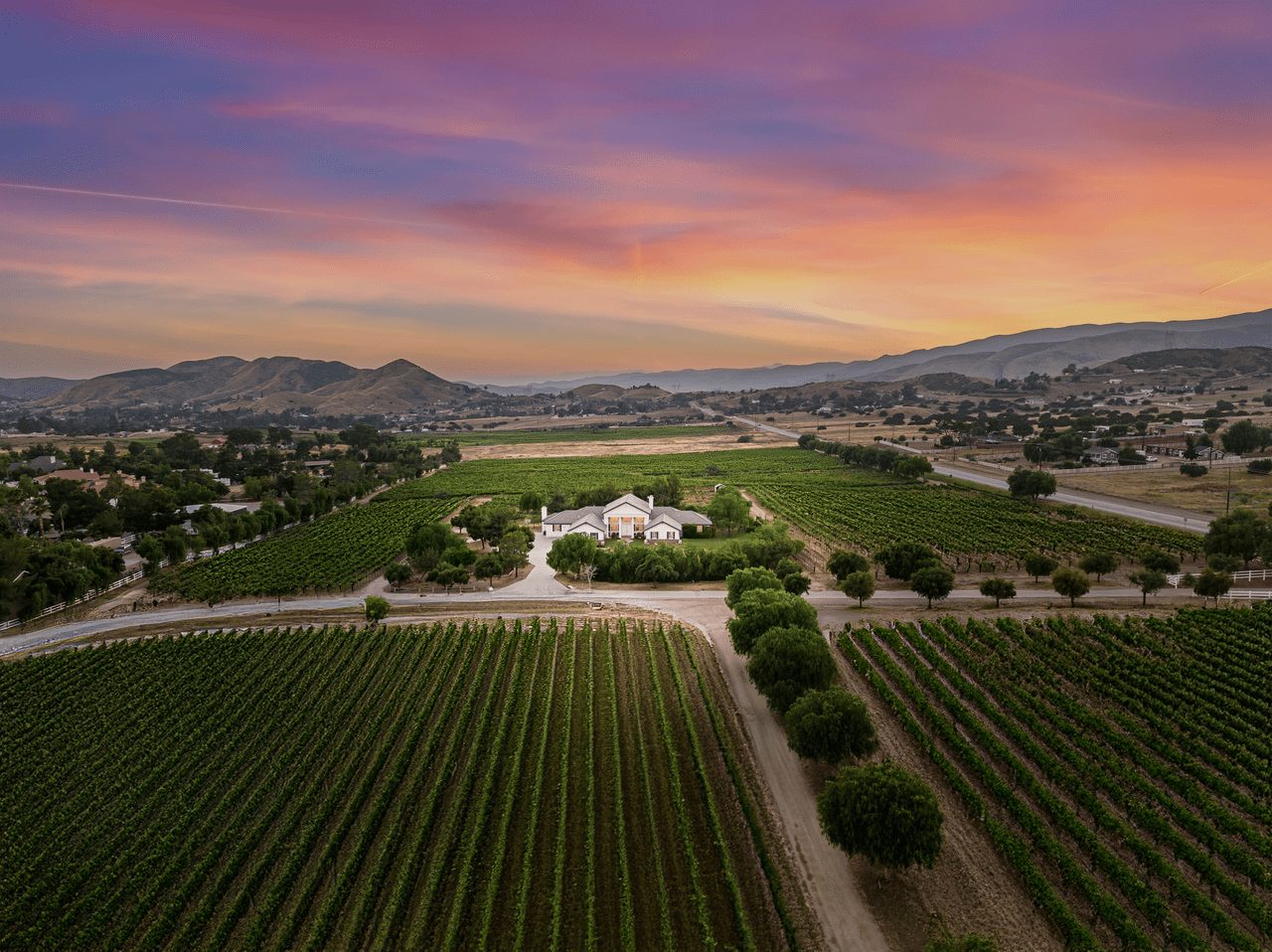 Aerial view over the vineyard rows toward the estate buildings, with the valley and mountains beyond at sunset