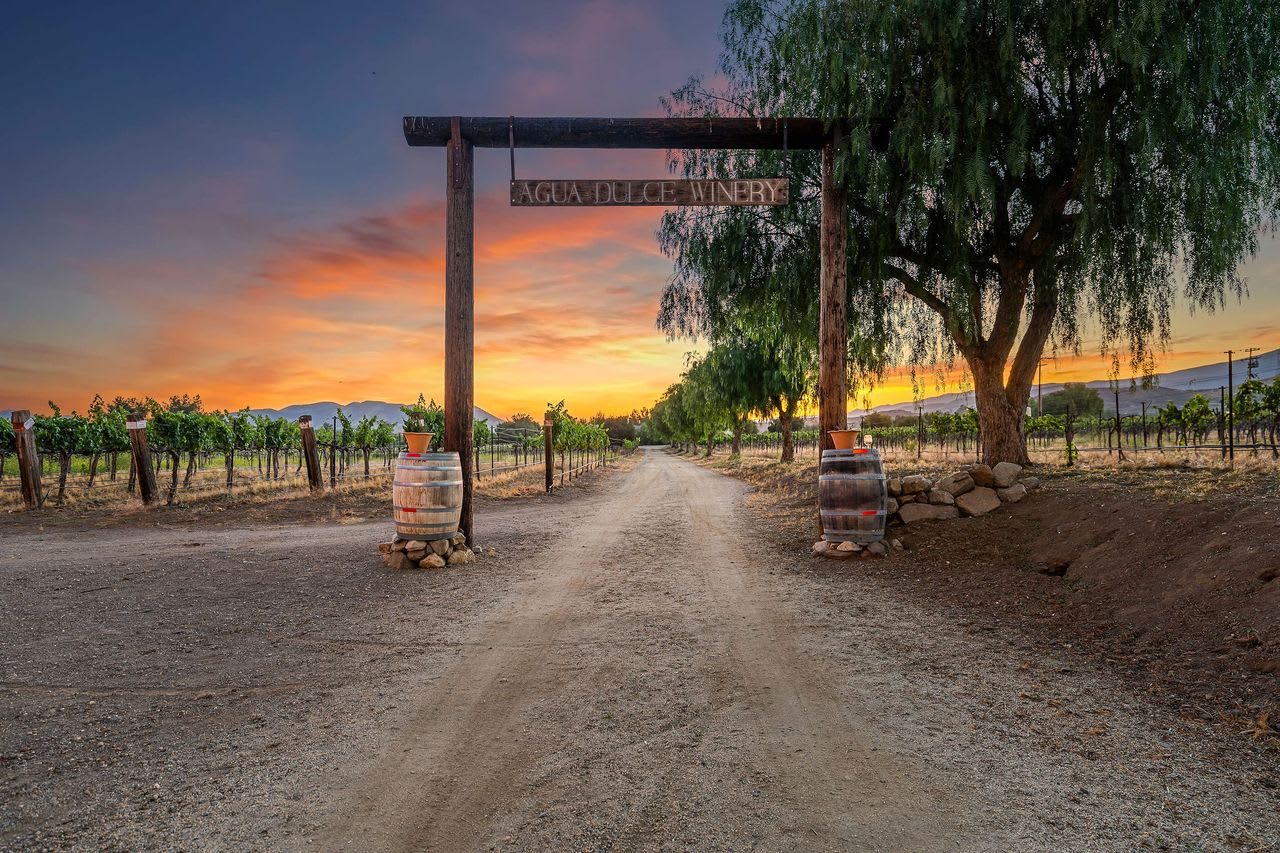 A dirt lane running between vineyard rows toward the winery gate at sunset