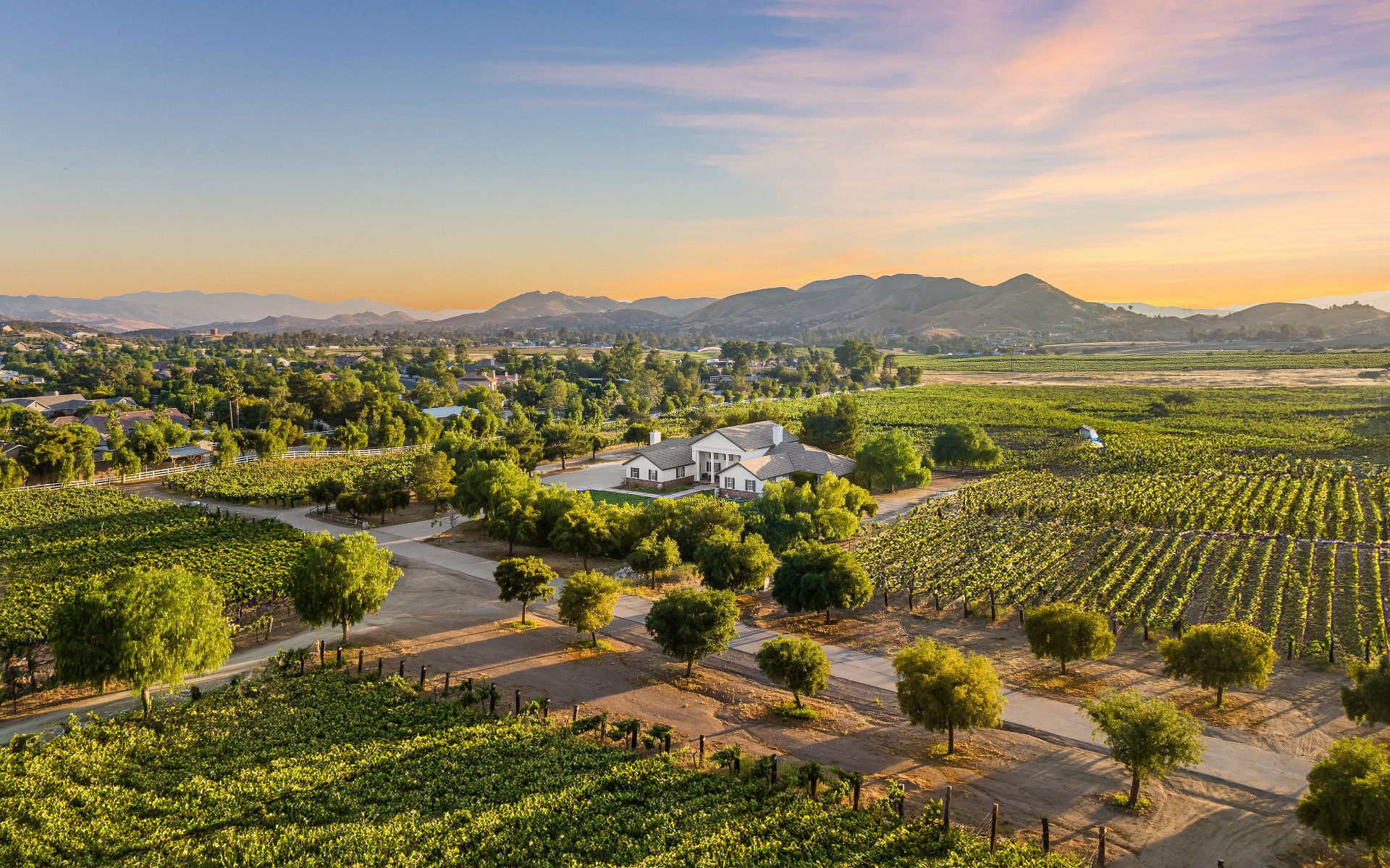 Aerial view over Agua Dulce Winery: rows of vines, the estate buildings, and the mountains beyond at sunset